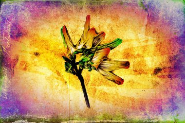 antika çiçek sanat el yapımı resim