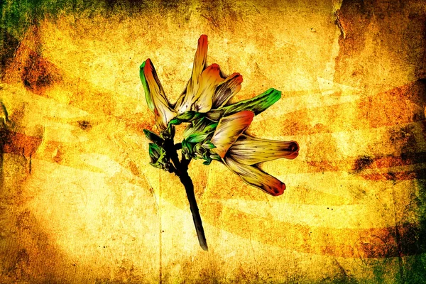 Arte antica fiore disegno fatto a mano — Foto Stock