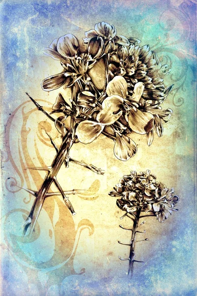 Antika blomma konst teckning handgjorda — Stockfoto