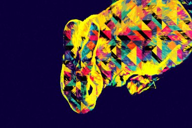 Yeşil çayırlarda oturan sevimli tavşan, Paskalya tavşanı avı