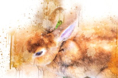 Yeşil çayırlarda oturan sevimli tavşan, Paskalya tavşanı avı