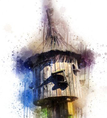 Arka bahçede kuş besleme, ortaçağ tarihi sanat illüstrasyonu antika eskiz