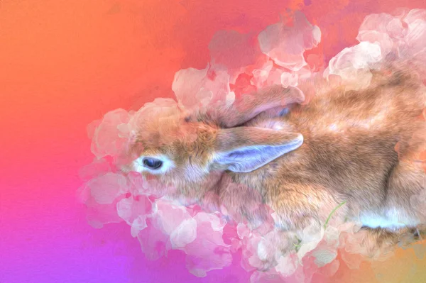 Cute Królik Siedzi Zielonym Polu Wiosna Łąka Easter Bunny Polowanie — Zdjęcie stockowe