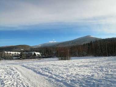 Kış manzarası, panorama, bayrak - kış ormanlarındaki karlı yol manzarası