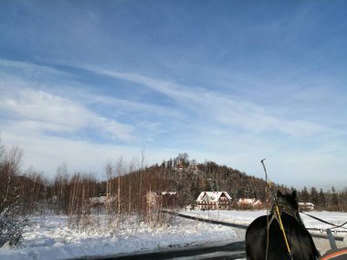 Kış manzarası, panorama, bayrak - kış ormanlarındaki karlı yol manzarası