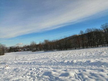 Kış manzarası, panorama, bayrak - kış ormanlarındaki karlı yol manzarası