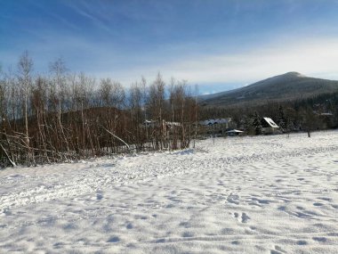 Kış manzarası, panorama, bayrak - kış ormanlarındaki karlı yol manzarası