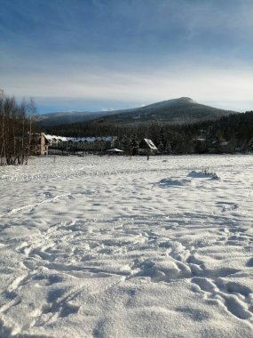 Kış manzarası, panorama, bayrak - kış ormanlarındaki karlı yol manzarası