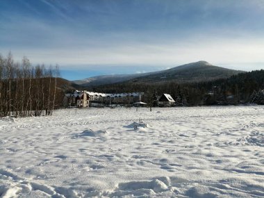 Kış manzarası, panorama, bayrak - kış ormanlarındaki karlı yol manzarası