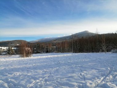 Kış manzarası, panorama, bayrak - kış ormanlarındaki karlı yol manzarası
