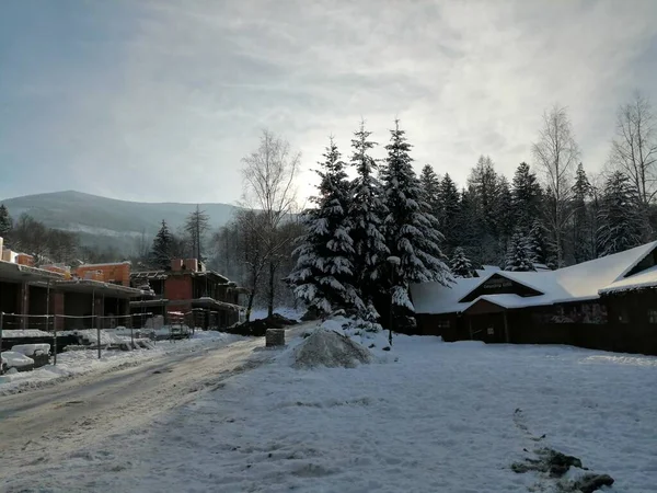 Winter Landscape Panorama Banner View Snowy Road Winter Mountain Forest — Stock Photo, Image