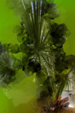 Kanarya Adasının Tarih Ayası (Anka kanaryası), Macaronezya kökenlidir