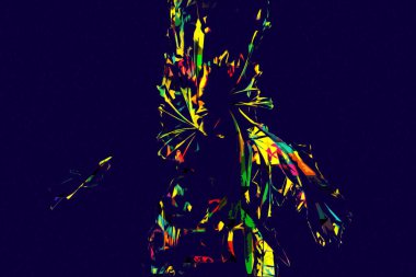 Kanarya Adasının Tarih Ayası (Anka kanaryası), Macaronezya kökenlidir