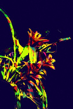Guzman monostachia, guzmania lingulata, specie Güney Amerika 'ya özgüdür, illüstrasyon, çizim, çizim, antika, retro, vintage.
