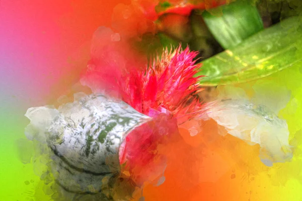 緑の葉 イラスト ドローイング スケッチ アンティーク レトロ ヴィンテージで咲くAechmea Fasciataの花 — ストック写真