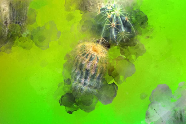 Cactus Jardín Desierto Primavera Ilustración Dibujo Boceto Antiguo Retro Vendimia — Foto de Stock