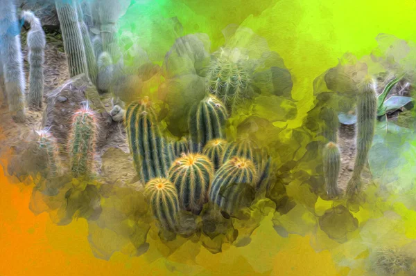 Kaktus Trädgård Öken Våren Illustration Teckning Skiss Antik Retro Vintage — Stockfoto