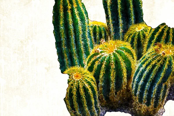 Cactus Jardín Desierto Primavera Ilustración Dibujo Boceto Antiguo Retro Vendimia — Foto de Stock