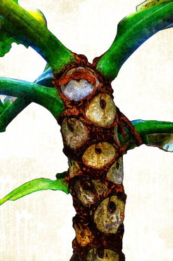 Kalp şeklinde iki renkli Philodendron sabanı nadir bulunan egzotik yağmur ormanları bitkisi eğreltiotu ve tropikal yaprak çeşitleri ile süs bahçesinde, illüstrasyon, çizim, çizim, antika, retro, vintage.