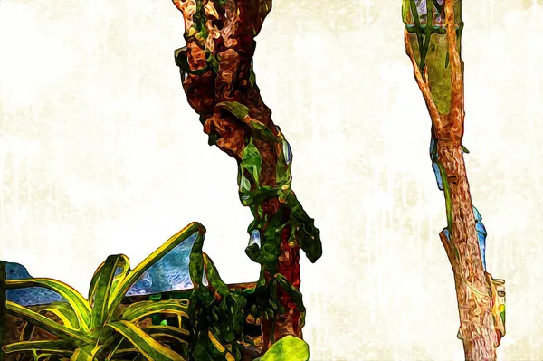 Şifalı yeşil Aloe Ağaç Cenneti bitkisi, illüstrasyon, çizim, eskiz, antika, antika, antika