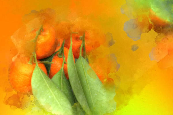 春祭り イラスト ドローイング スケッチ アンティーク レトロ ヴィンテージの間に観賞植物として使用される実りのあるポットマンダリンオレンジ — ストック写真
