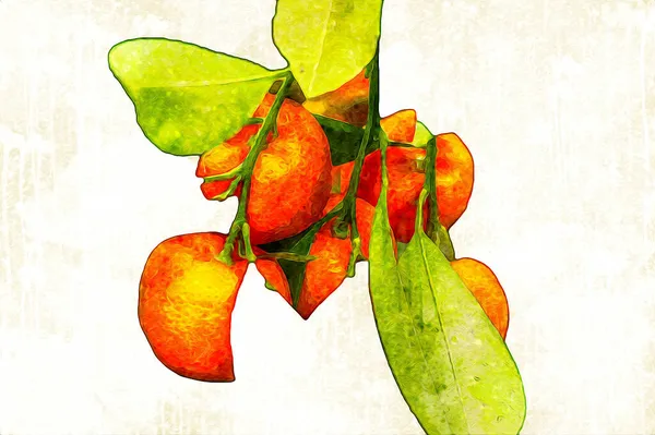 Ovocné Květináče Mandarínské Pomeranče Které Používaly Jako Okrasná Rostlina Jarním — Stock fotografie