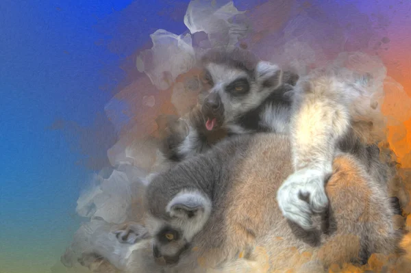 Μια Ομάδα Από Lemurs Ανάπαυσης Katta Εικονογράφηση Σχέδιο Σκίτσο Αντίκες — Φωτογραφία Αρχείου