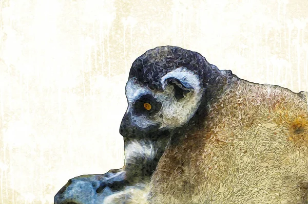Een Groep Van Rustende Lemuren Katta Illustratie Tekening Schets Antiek — Stockfoto