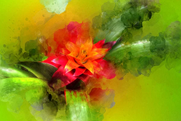 Fénykép Egy Guzmania Lingulata Virág Illusztráció Rajz Vázlat Antik Retro — Stock Fotó