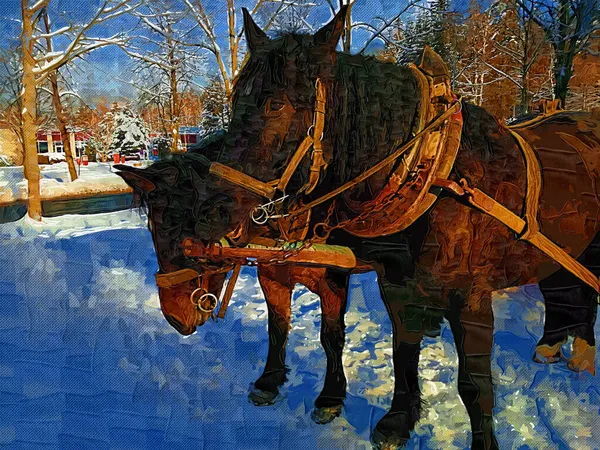 Cheval Coloré Art Illustration Grunge Peinture Photographie Hiver — Photo