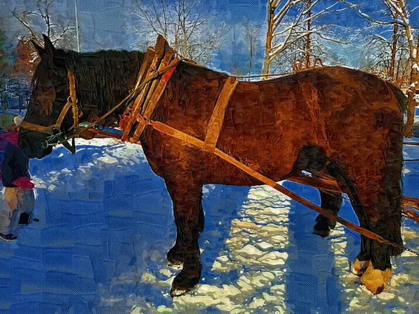 Färgglada Häst Konst Illustration Grunge Målning Fotografi Vinter — Stockfoto