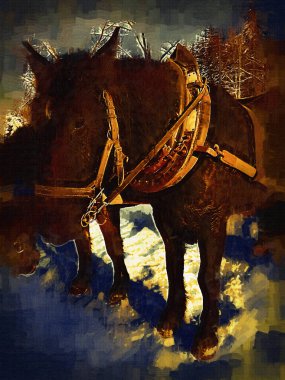 Renkli at sanatı çizimi grunge fotoğraf çekimi kış