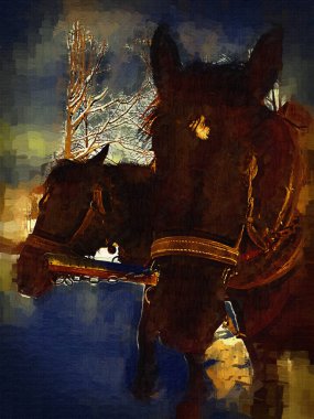 Renkli at sanatı çizimi grunge fotoğraf çekimi kış