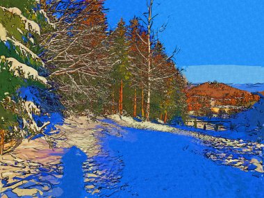 Kış manzarası, panorama, bayrak - kış ormanlarındaki karlı yol manzarası