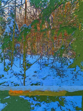 Kış manzarası, panorama, bayrak - kış ormanlarındaki karlı yol manzarası