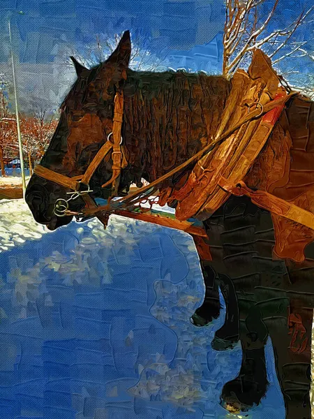 Cheval Coloré Art Illustration Grunge Peinture Photographie Hiver — Photo