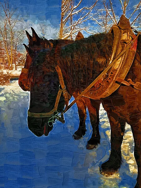 Colorido Caballo Arte Ilustración Grunge Pintura Fotografía Invierno — Foto de Stock