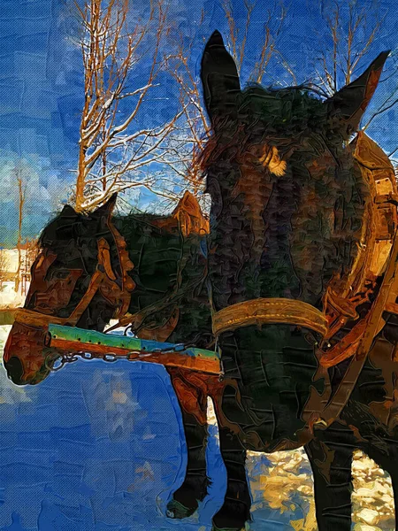 Cheval Coloré Art Illustration Grunge Peinture Photographie Hiver — Photo