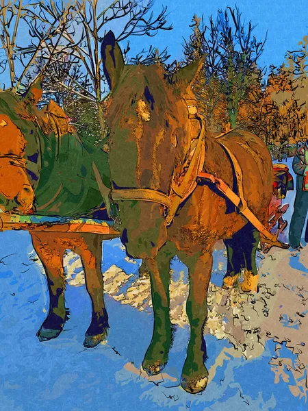 Colorato Cavallo Arte Illustrazione Grunge Pittura Fotografia Inverno — Foto Stock