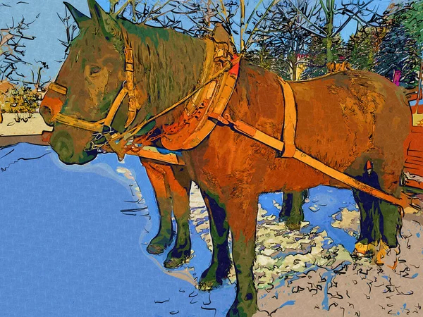 カラフルな馬のアートイラストグランジ絵画写真冬 — ストック写真