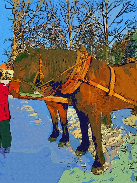 Färgglada Häst Konst Illustration Grunge Målning Fotografi Vinter — Stockfoto