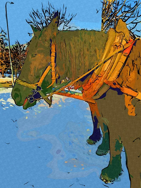 Bunte Pferd Kunst Illustration Grunge Malerei Fotografie Winter — Stockfoto