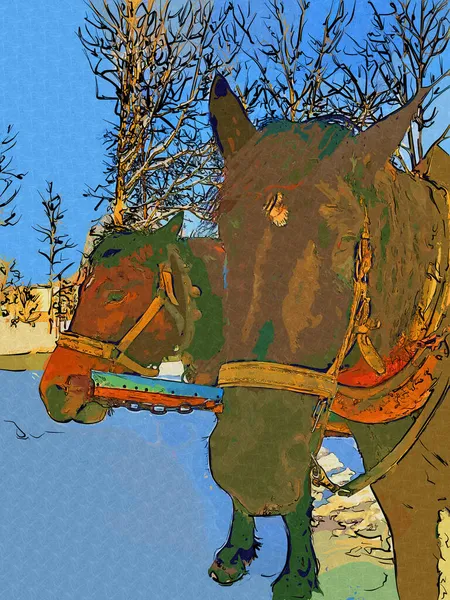 Cheval Coloré Art Illustration Grunge Peinture Photographie Hiver — Photo