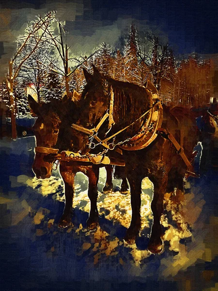 Cheval Coloré Art Illustration Grunge Peinture Photographie Hiver — Photo