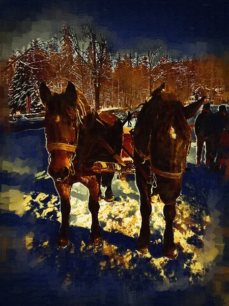 Colorido Caballo Arte Ilustración Grunge Pintura Fotografía Invierno — Foto de Stock