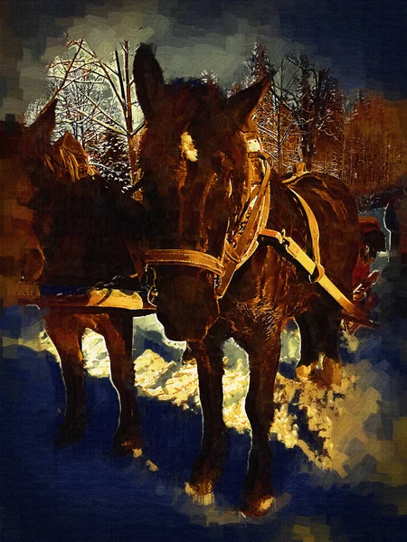 Cheval Coloré Art Illustration Grunge Peinture Photographie Hiver — Photo