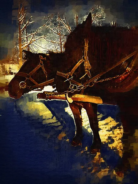 Colorato Cavallo Arte Illustrazione Grunge Pittura Fotografia Inverno — Foto Stock