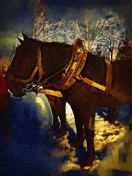 Colorato Cavallo Arte Illustrazione Grunge Pittura Fotografia Inverno — Foto Stock