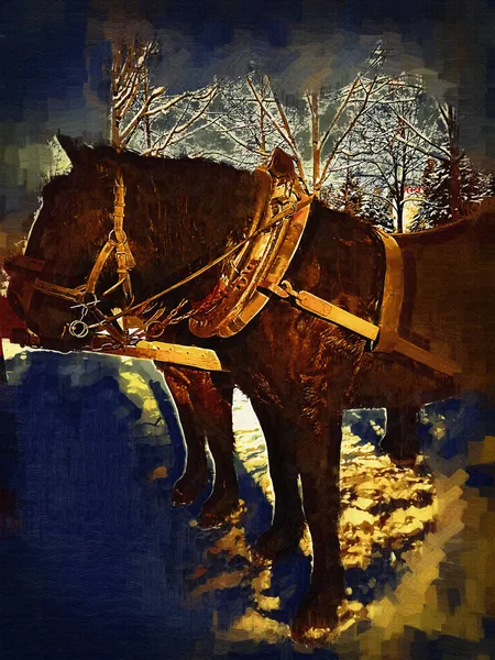 Cheval Coloré Art Illustration Grunge Peinture Photographie Hiver — Photo