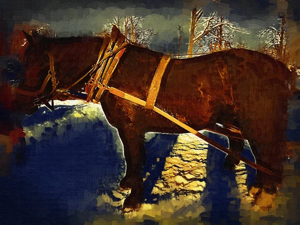 Красочные Рисунки Лошади Иллюстрация Гранж Живописи Фотографии Зимой — стоковое фото